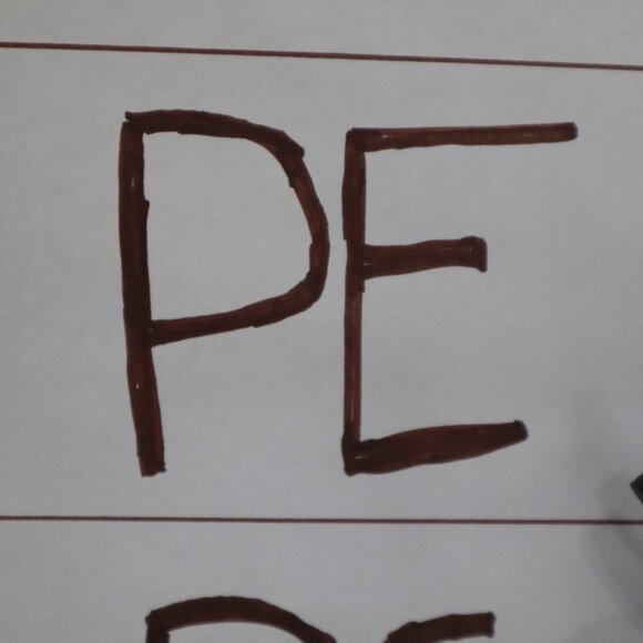 Anthropologie Animal Print Blouse - Picture 15 of 16